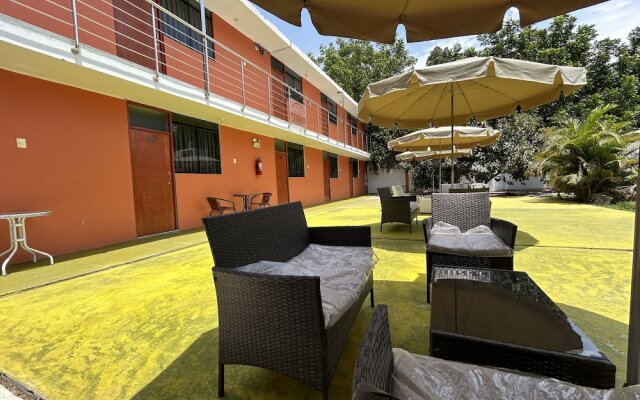 Ica adventures out of the woods