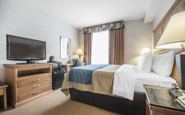 Prestige Kamloops Hotel, WorldHotels Crafted - Image 4