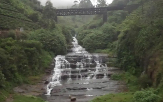 The Train View