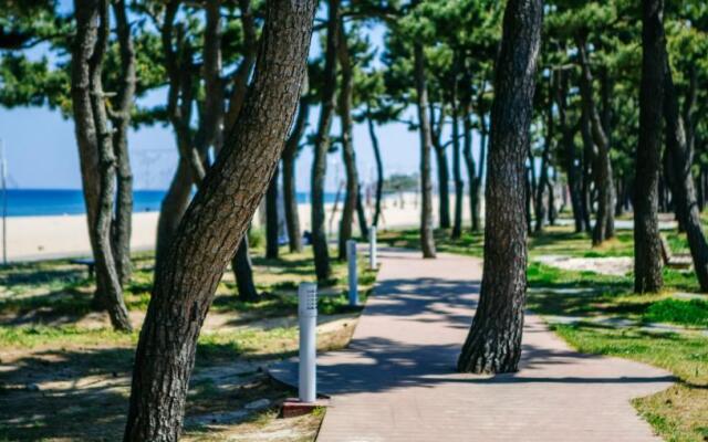 Yangyang Daon Pensino