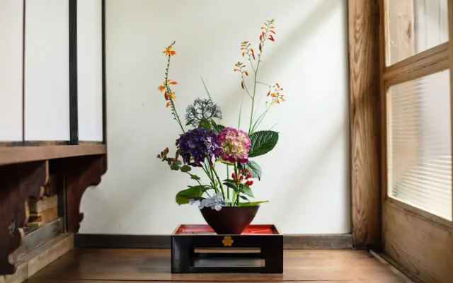 Rita Izumo Sagiura