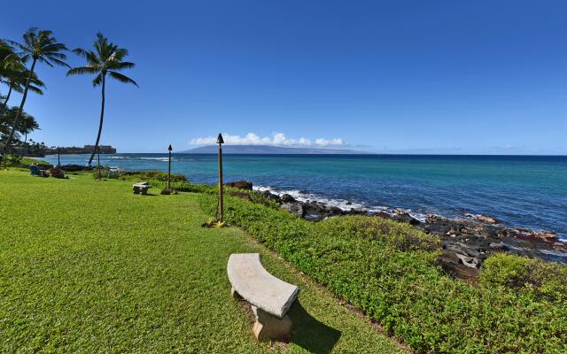 Polynesian Shores 113