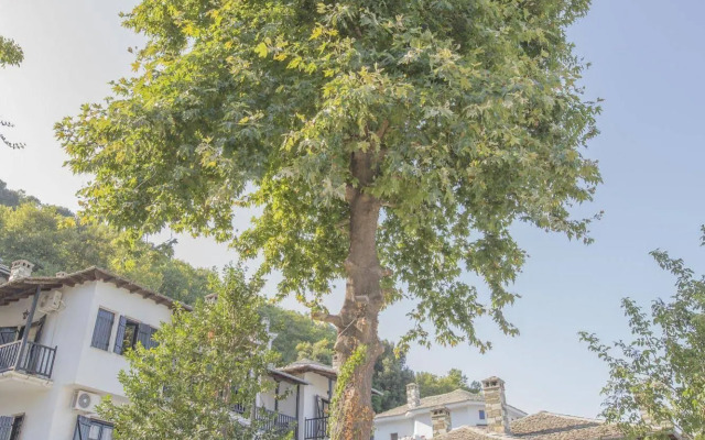 Pilio Sea Horizon hotel