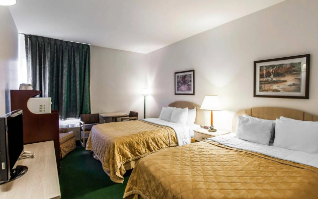 Bellis Inn