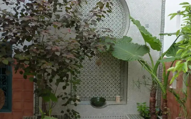 Dar Nadia