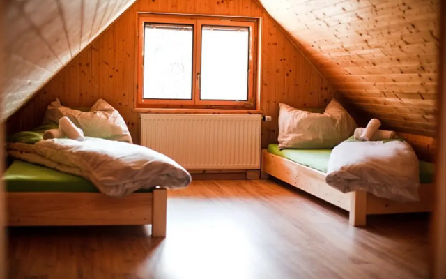 Villa in Moravia With Infrared Sauna