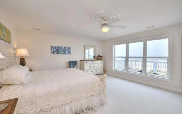 Stranded Indolphinitely