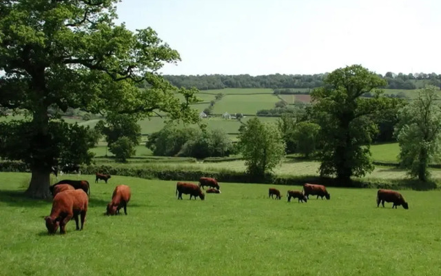 Whitehall Farm Cottage