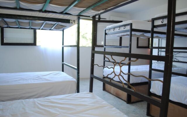 Lobo Inn - Hostel