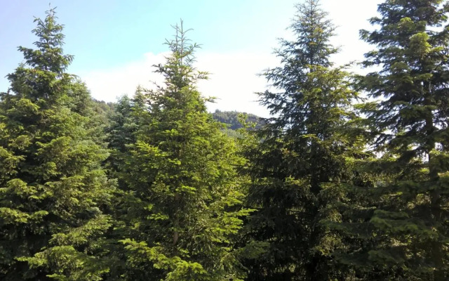 Pension&Gasthaus Zschirnsteinbaude