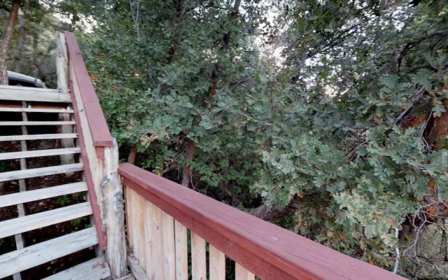 The Cabin at Lydias Canyon