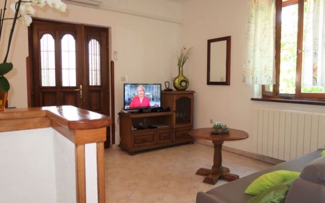 Mirjana (LBN312) 22664