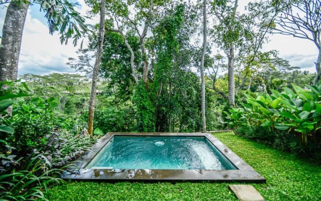 The Hidden Paradise Ubud