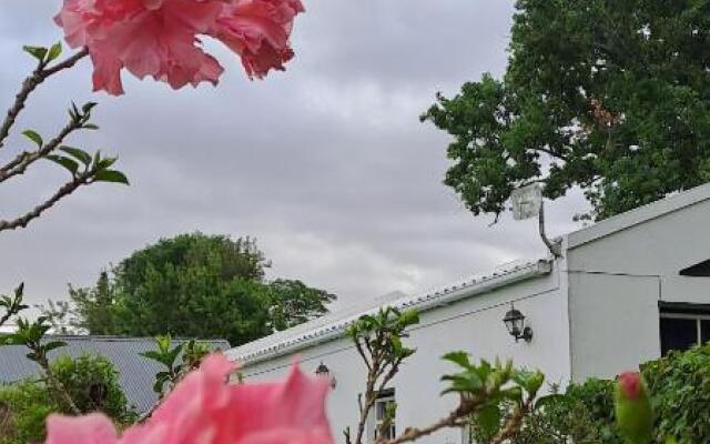 Winterson en Somerkoelte