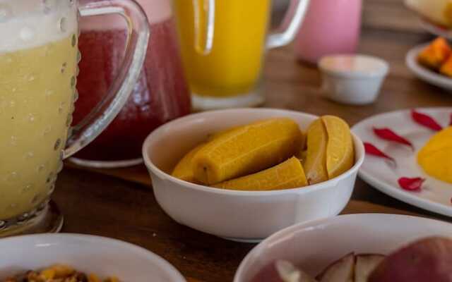 Villa Alexandre Pousada