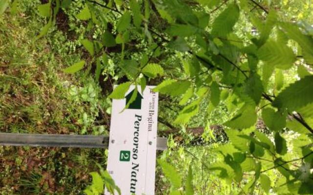 Carrera Della Regina