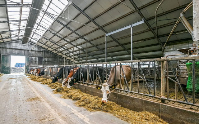 Spacious Farmhouse in Tweede Exloermond With Patio