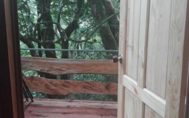 The Green Tree Lodge