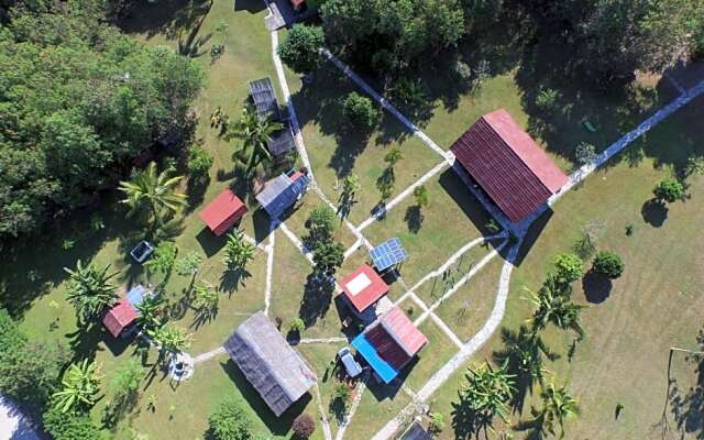 4 Pohon - Les 4 Arbres