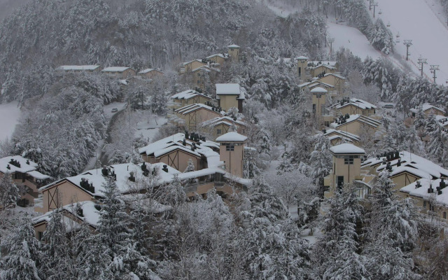Yongpyong Resort Villa Condominium