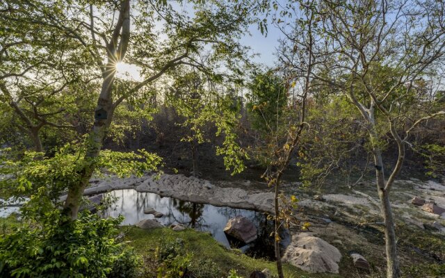 The Riverwood Forest Retreat - Pench