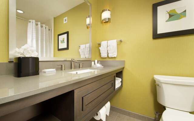 Hilton Garden Inn College Station