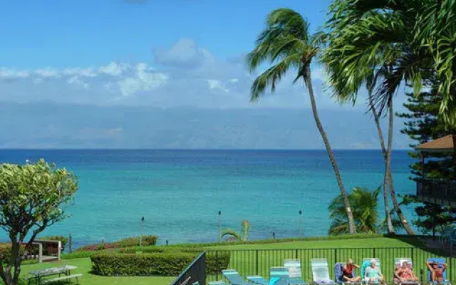 Polynesian Shores 111