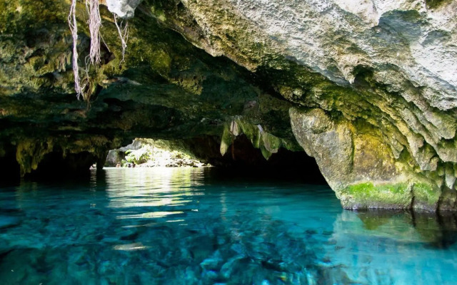 Modern studio spa & gym at Central Park Tulum