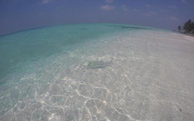 Origami Inn Himandhoo