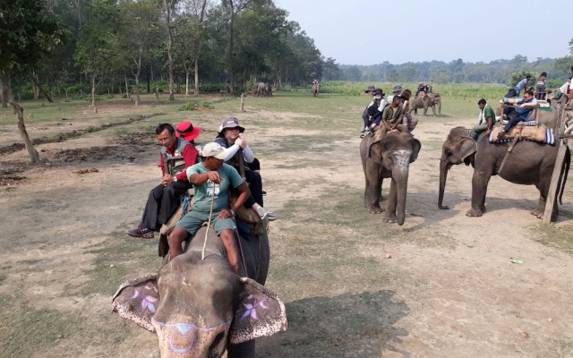 The 90's Sauraha