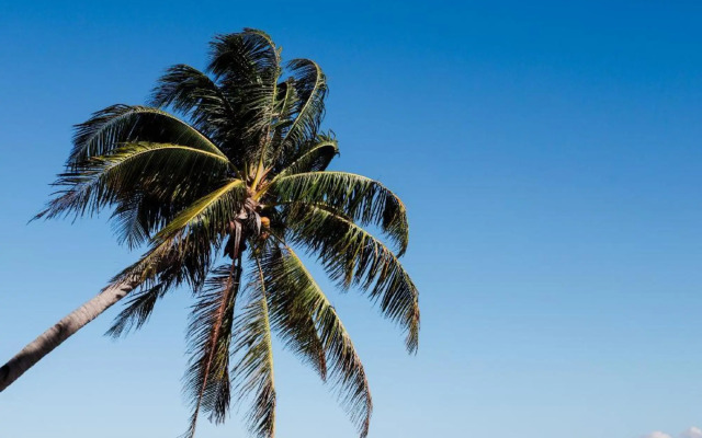 YOYO Beach Getaway