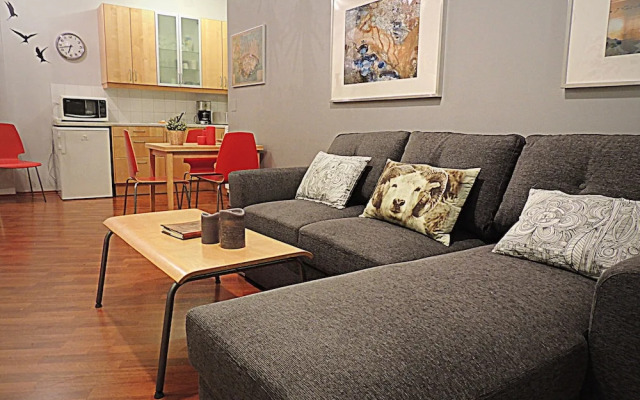 Reykjavik Center Condos