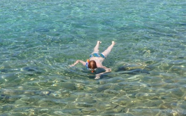 Charming Palit Kroatien Holiday House With Garden