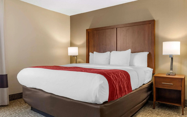 Comfort Inn University