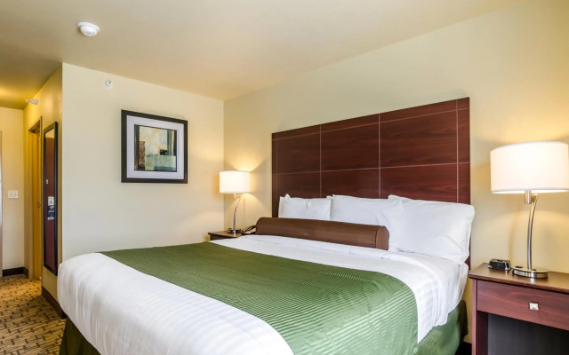 Cobblestone Inn & Suites - Oberlin