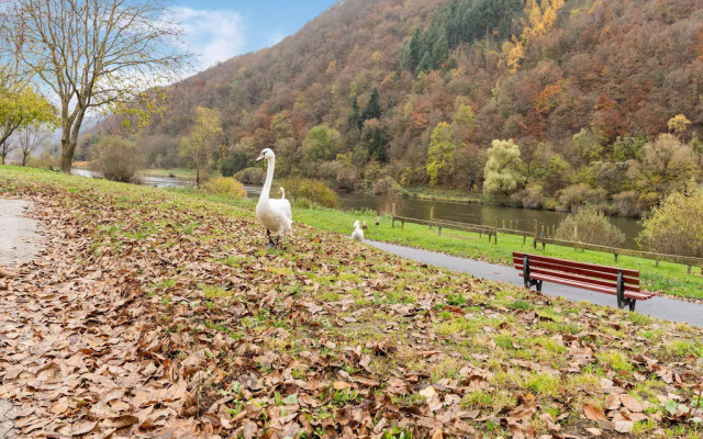 Moselanmut in Ediger-eller