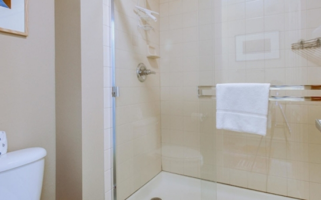 Mammoth Green Condos