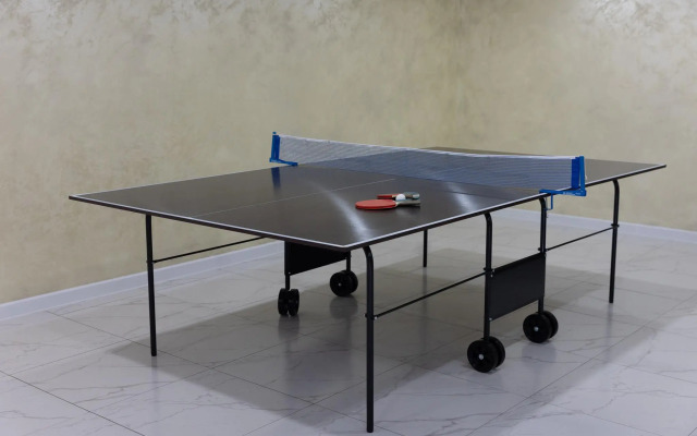 Отель Аура тополей