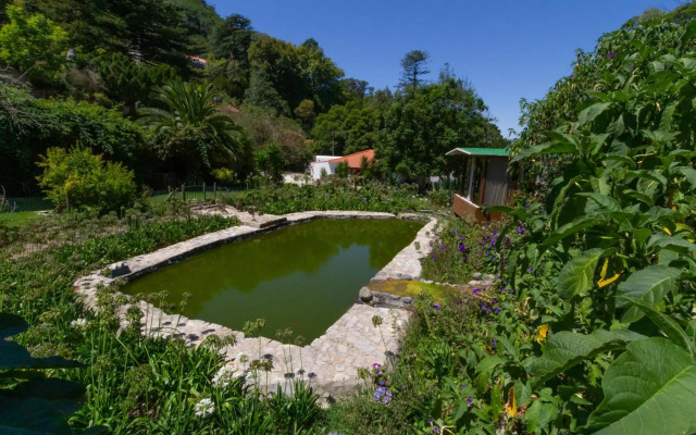 Quinta Das Murtas B&B
