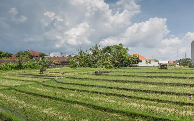 Bali Easy Living Canggu