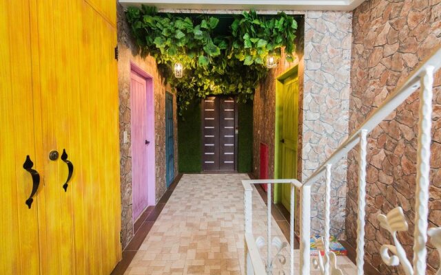 Alice Wonderland B&B
