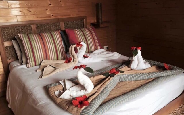 Ecolodge Dar Zitouna