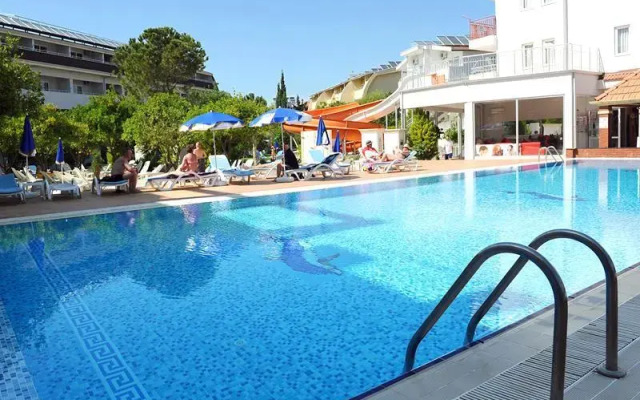 Catty Cats Garden Hotel
