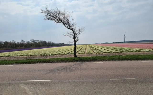 Vision Comfortable Holiday Residence