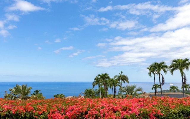 Hale Nene Pool, Hot Tub & Ocean Views!