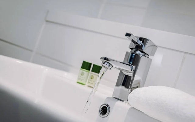 Host Apartments The Musician s Apartment With Gr