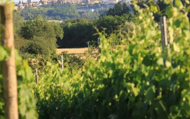 Borgo di Toiano Country Holidays