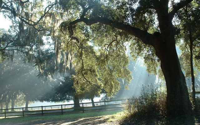The Inn At Middleton Place