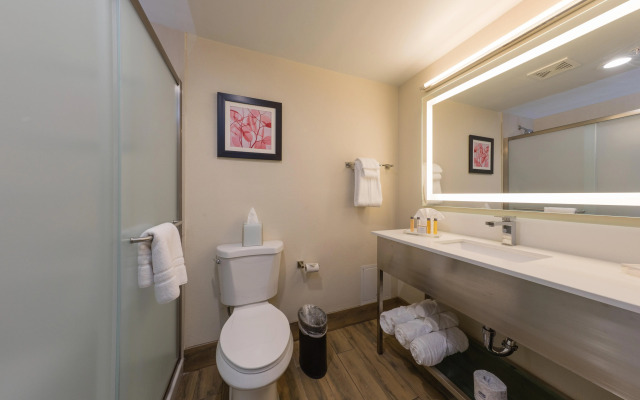 Holiday Inn Milwaukee Brookfield by IHG