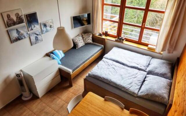 Cihlářka - horský apartmán 103